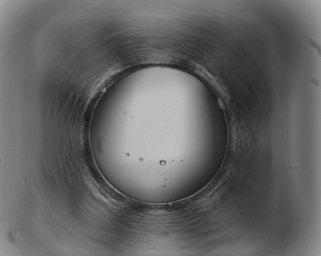 X0000103440203200809191732