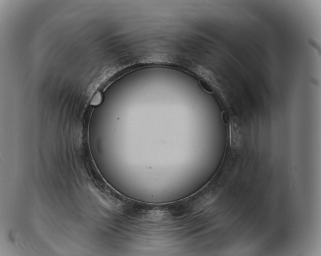X0000103440204200809191732