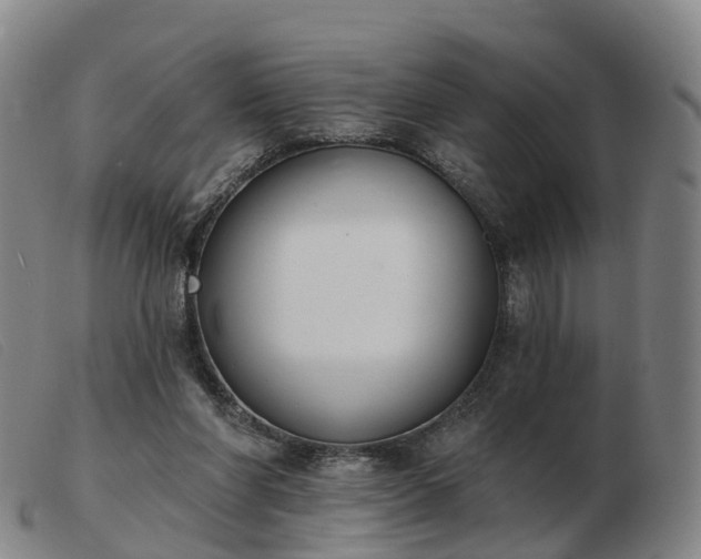X0000103440206200809191732