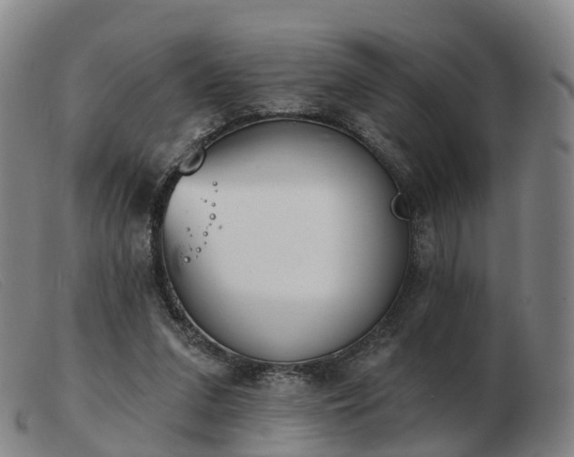 X0000103440207200809191732