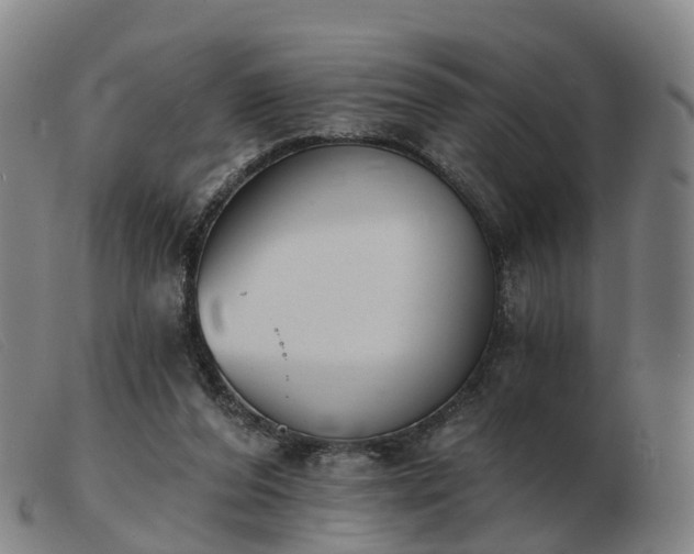X0000103440208200809191732