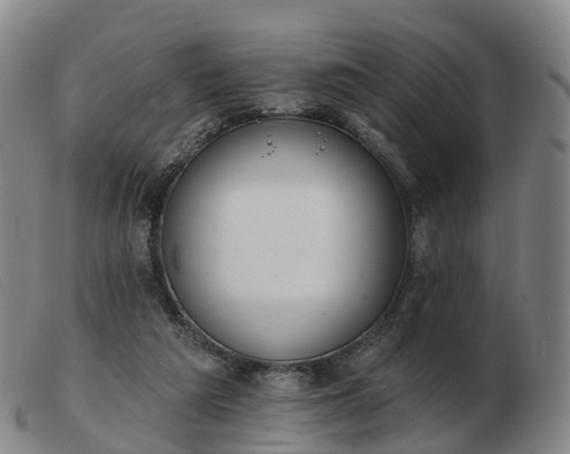 X0000103440209200809191732