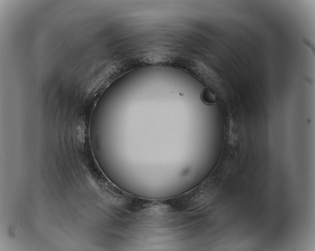 X0000103440210200809191732