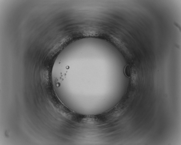 X0000103440211200809191732