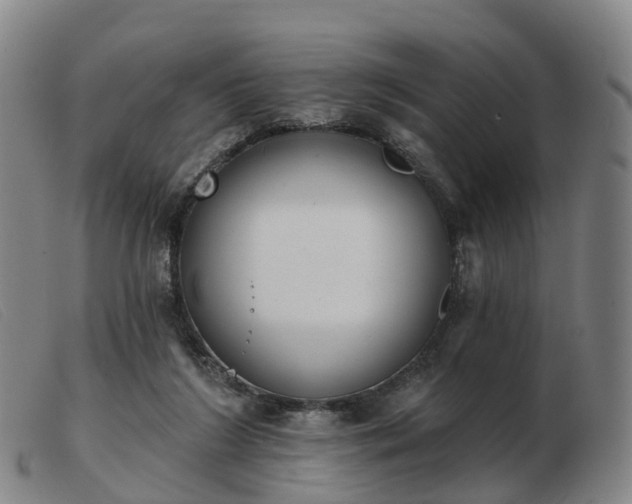 X0000103440212200809191732