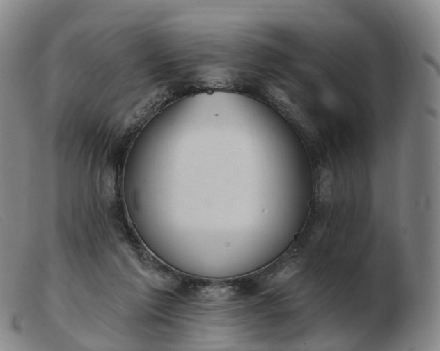X0000103440213200809191732