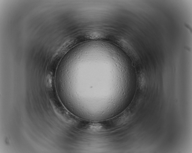 X0000103440214200809191732