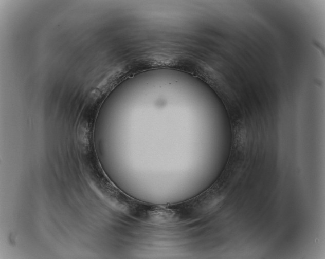X0000103440215200809191732