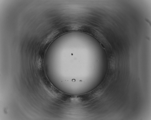 X0000103440216200809191732