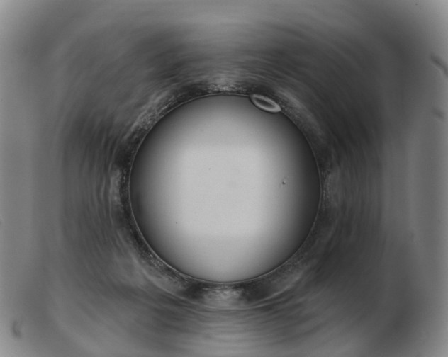 X0000103440217200809191732