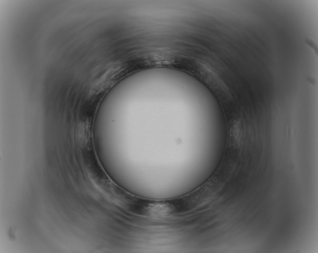 X0000103440218200809191732