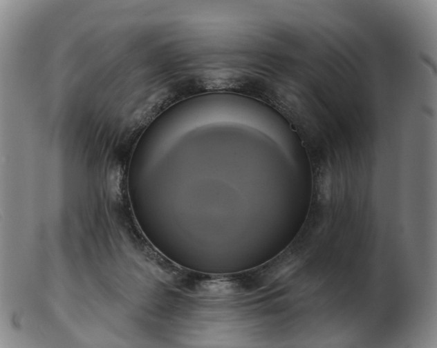 X0000103440219200809191732