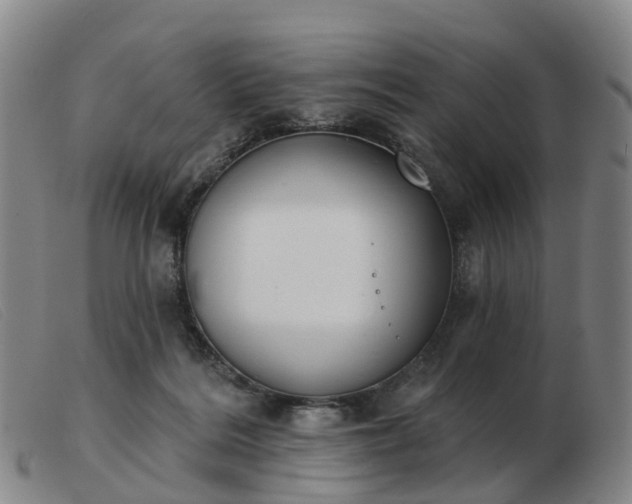 X0000103440220200809191732