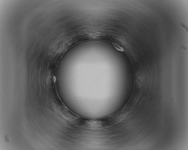 X0000103440221200809191732