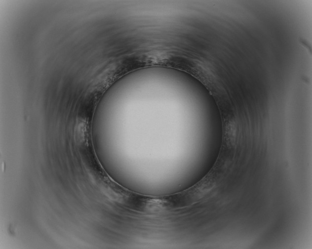 X0000103440222200809191732
