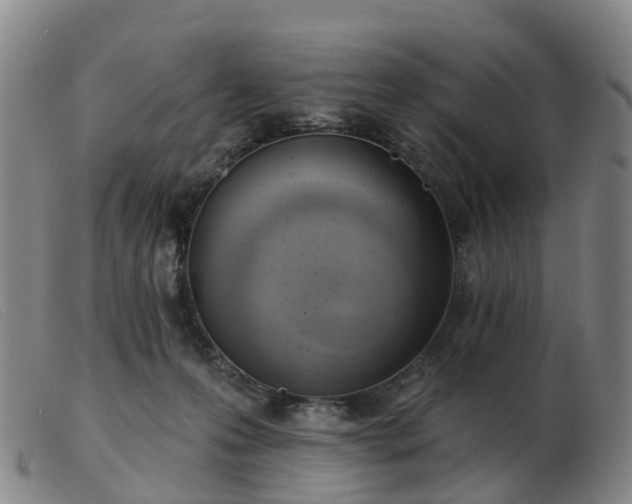 X0000103440223200809191732