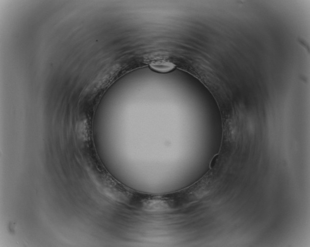 X0000103440224200809191732