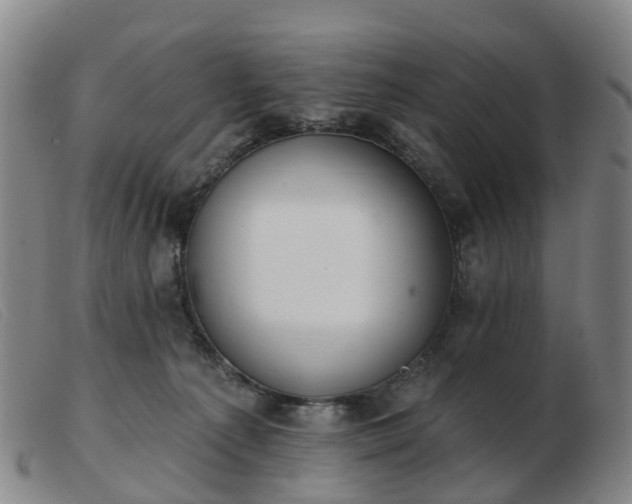 X0000103440225200809191732