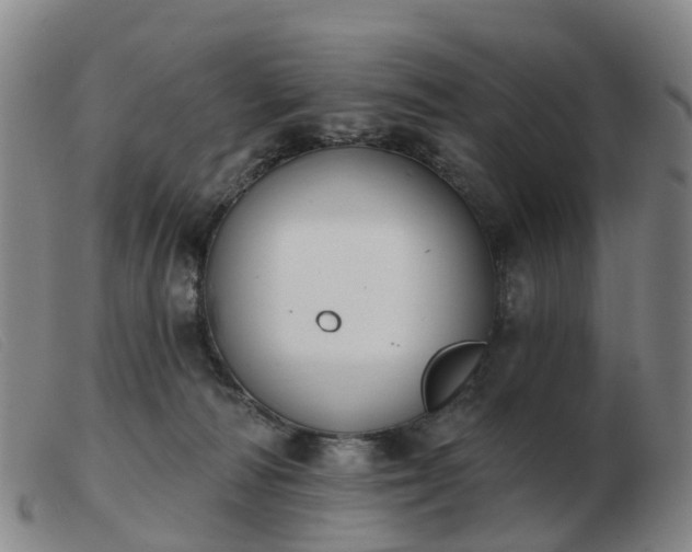 X0000103440226200809191732