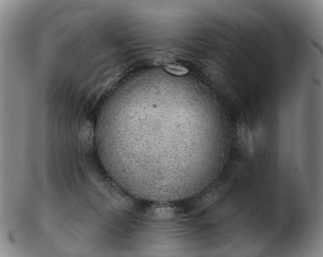 X0000103440228200809191732
