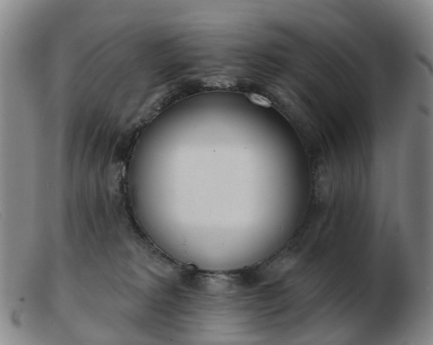 X0000103440229200809191732