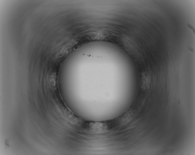 X0000103440230200809191732
