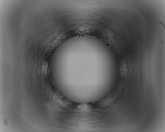 X0000103440231200809191732
