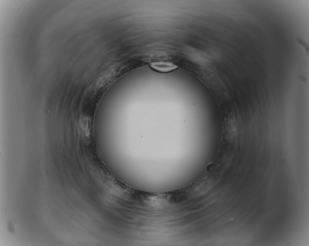 X0000103440232200809191732