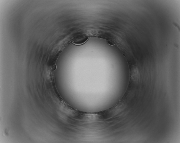 X0000103440233200809191732