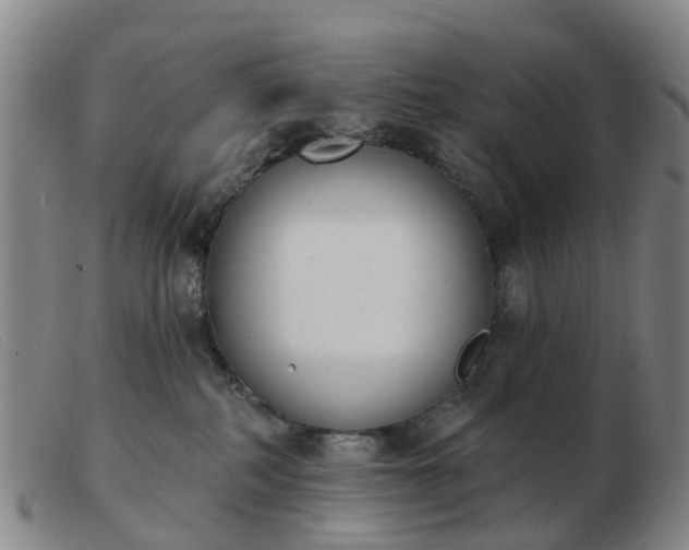 X0000103440234200809191732