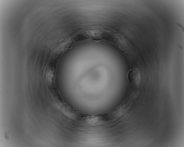 X0000103440235200809191732