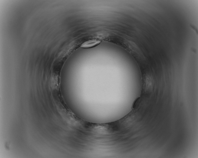 X0000103440236200809191732