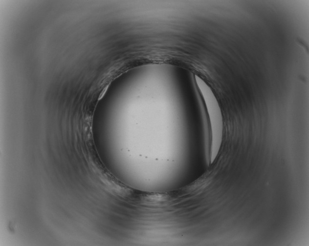 X0000103440237200809191732
