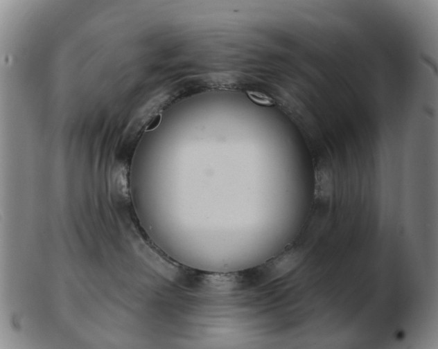 X0000103440238200809191732