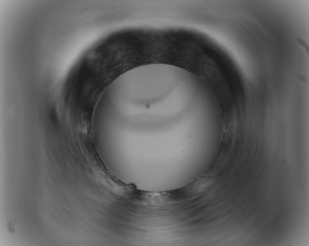 X0000103440239200809191732