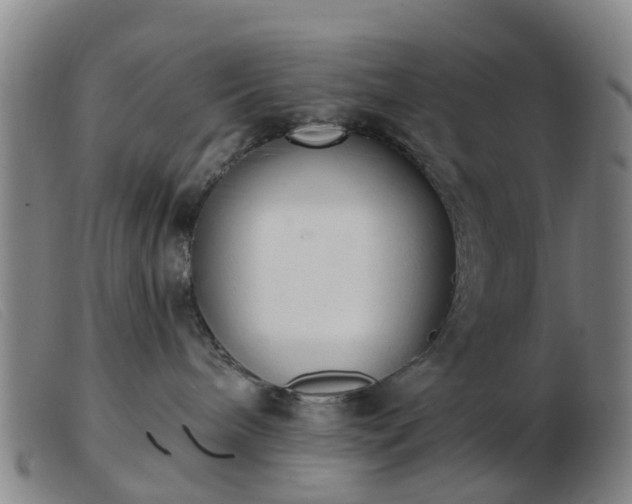 X0000103440240200809191732