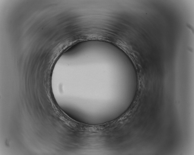X0000103440241200809191731