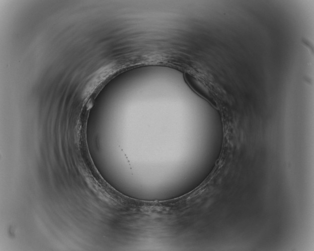 X0000103440242200809191731