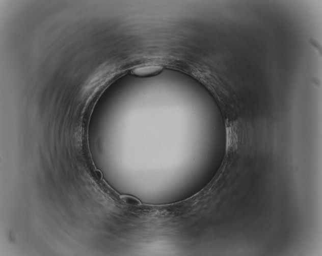 X0000103440243200809191731