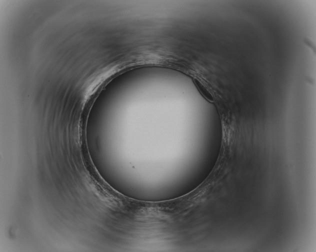 X0000103440244200809191731