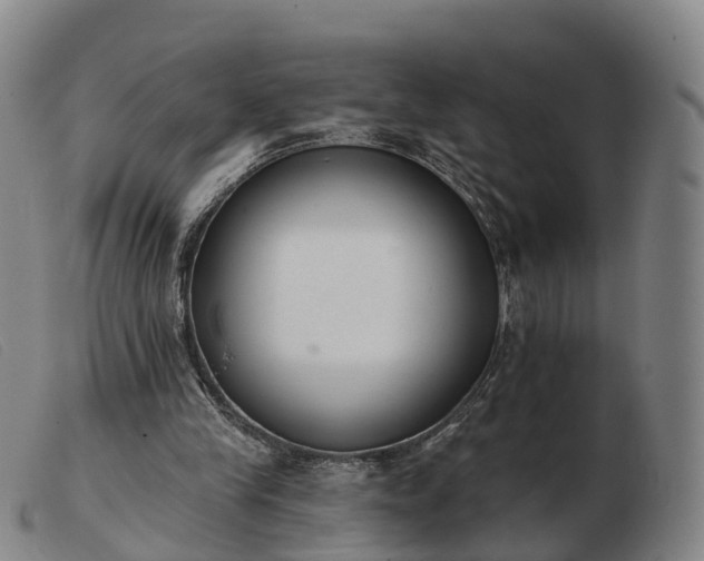 X0000103440245200809191731