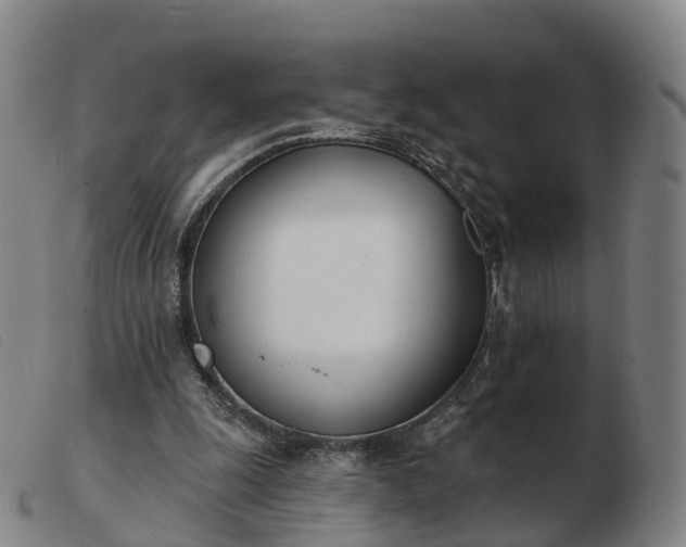 X0000103440247200809191731