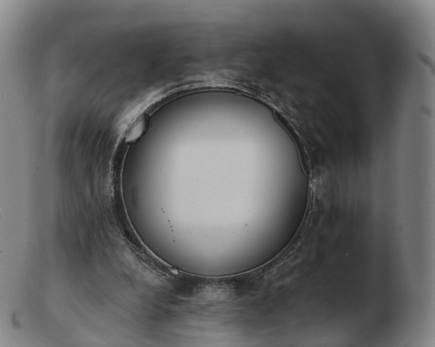 X0000103440248200809191731