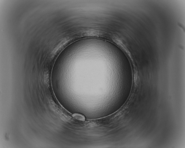 X0000103440249200809191731