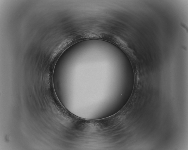 X0000103440250200809191731