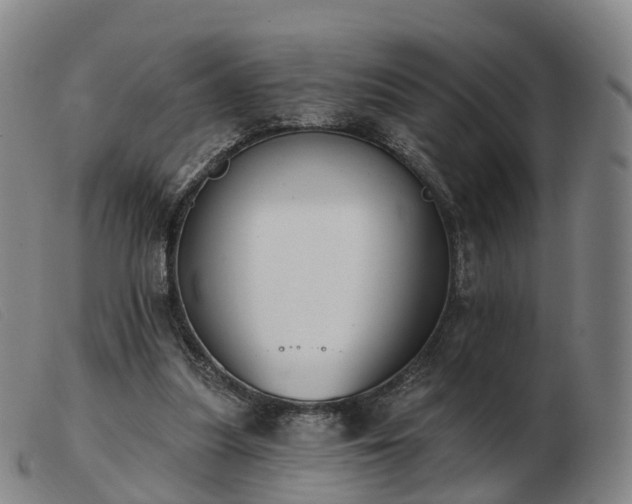 X0000103440251200809191731