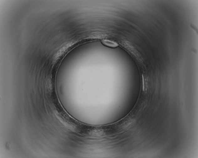 X0000103440252200809191731