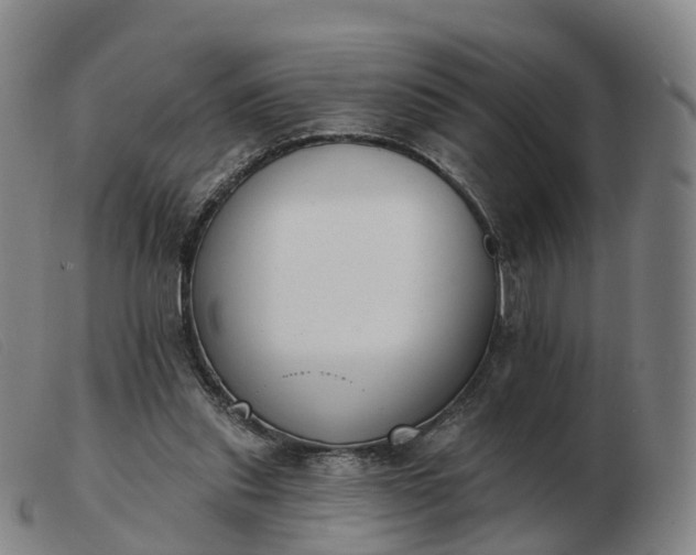 X0000103440253200809191731
