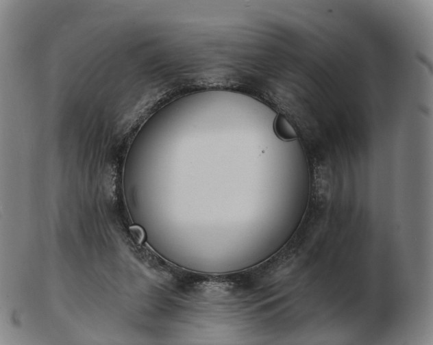 X0000103440255200809191731