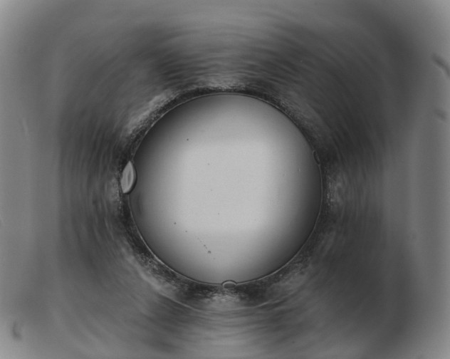 X0000103440256200809191731
